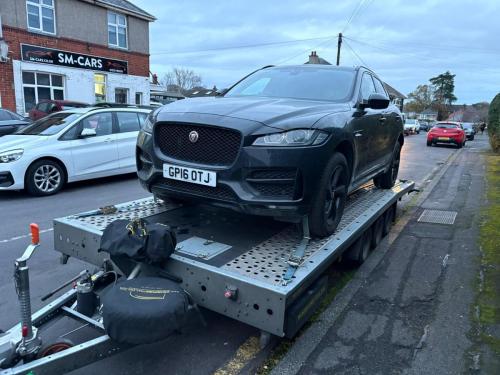 WhatsApp Image 2026-01-21 at 20.08.34